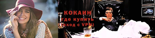 PSILOCYBIN Аркадак