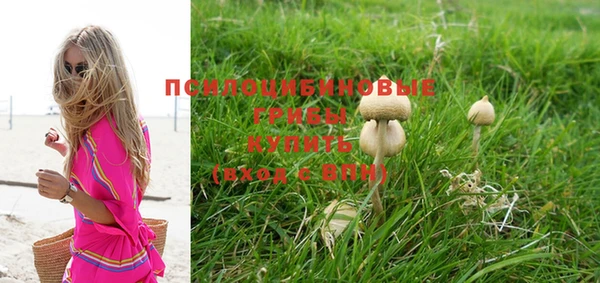 PSILOCYBIN Аркадак