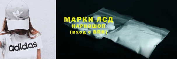 PSILOCYBIN Аркадак