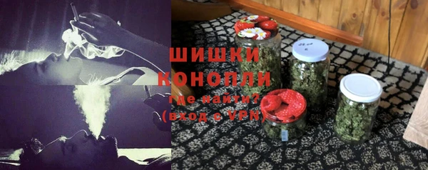 PSILOCYBIN Аркадак